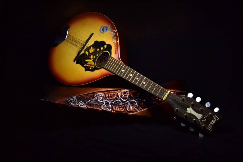 mandolin